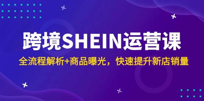 跨境SHEIN运营课，全流程解析+商品曝光，快速提升新店销量