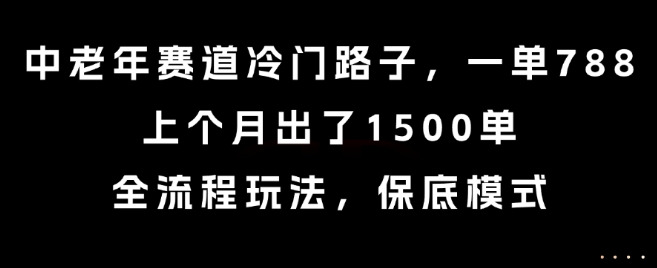 中老年赛道冷门路子，一单788，上个月出了1500单，全流程玩法，保底模式