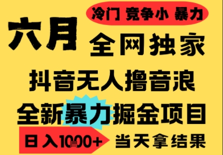 25年6月高爆抖音无人直播最新撸音浪掘金项目，小白可做，无脑日入1k+，门槛低可批量矩阵