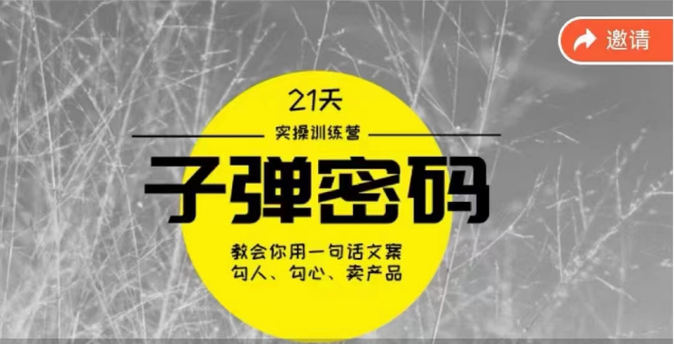 《子弹密码训练营》用一句话文案勾人勾心卖产品，21天学到顶尖文案大师策略和技巧_80楼网创