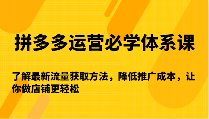 拼多多运营必学体系课-了解最新流量获取方法，降低推广成本，让你做店铺更轻松_80楼网创