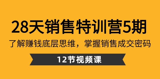 28天销售特训营5期：了解赚钱底层思维，掌握销售成交密码（12节课）_80楼网创