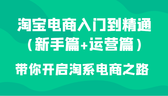 淘宝电商入门到精通（新手篇+运营篇）带你开启淘系电商之路_80楼网创