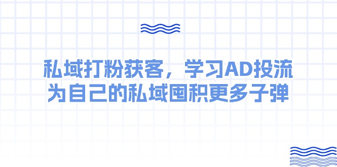 （10728期）某收费课：私域打粉获客，学习AD投流，为自己的私域囤积更多子弹_80楼网创