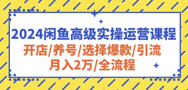 2024闲鱼高级实操运营课程：开店/养号/选择爆款/引流/月入2万/全流程_80楼网创