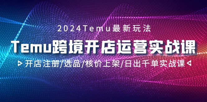 （9208期）2024Temu跨境开店运营实战课，开店注册/选品/核价上架/日出千单实战课_80楼网创