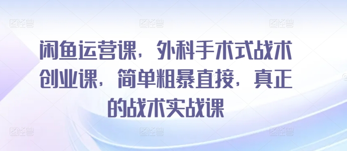 闲鱼运营课，外科手术式战术创业课，简单粗暴直接，真正的战术实战课_80楼网创