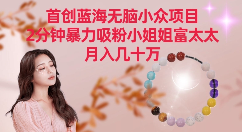 首创蓝海无脑小众项目，2分钟暴力吸粉小姐姐富太太，月入几十万_80楼网创