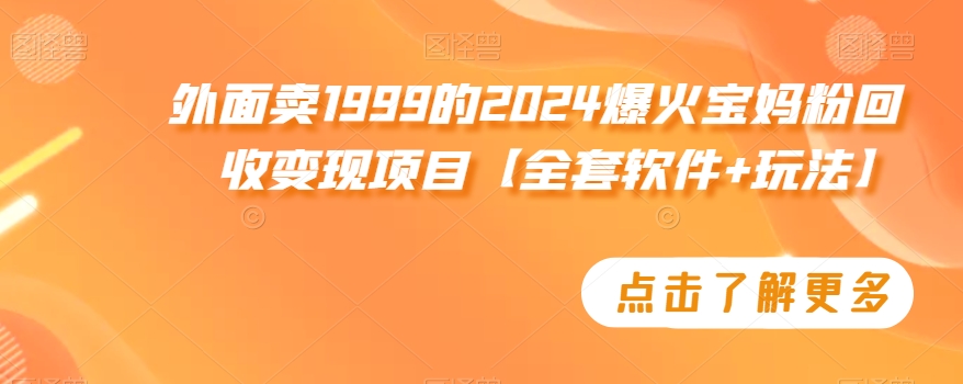 外面卖1999的2024爆火宝妈粉回收变现项目【全套软件+玩法】_80楼网创