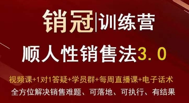 爆款！销冠训练营3.0之顺人性销售法，全方位解决销售难题、可落地、可执行、有结果_80楼网创