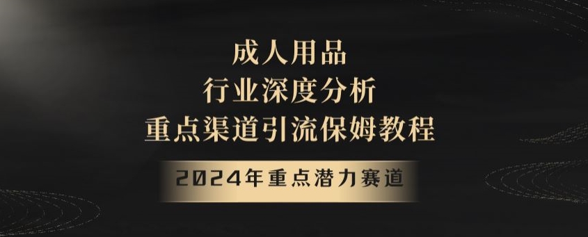 2024年重点潜力赛道，成人用品行业深度分析，重点渠道引流保姆教程【揭秘】_80楼网创