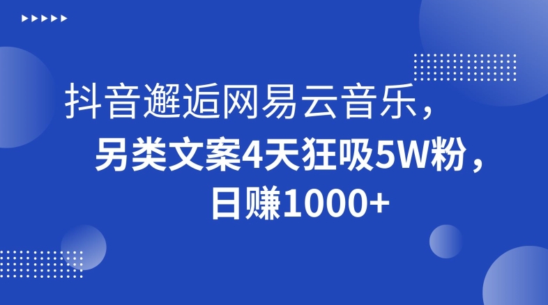 抖音邂逅网易云音乐，另类文案4天狂吸5W粉，日赚1000+【揭秘】_80楼网创