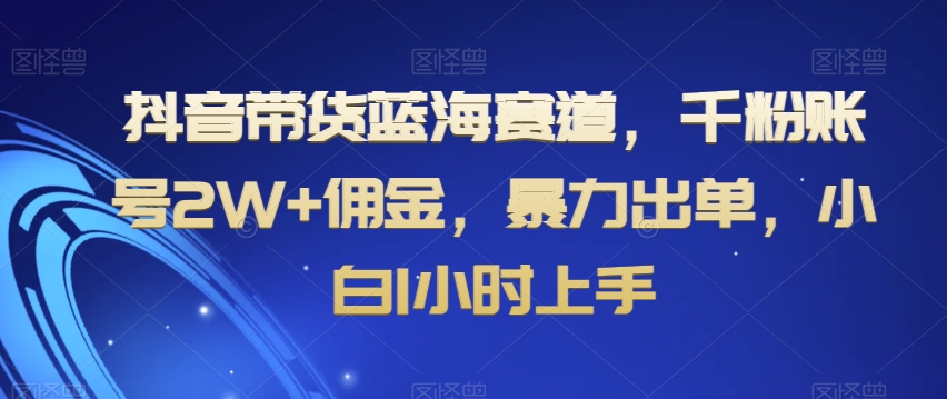 抖音带货蓝海赛道，千粉账号2W+佣金，暴力出单，小白1小时上手【揭秘】_80楼网创