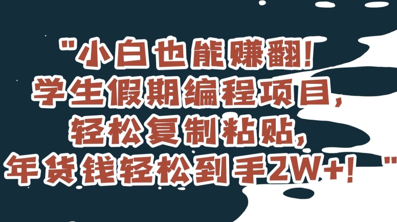 小白也能赚翻！学生假期编程项目，轻松复制粘贴，年货钱轻松到手2W+【揭秘】_80楼网创