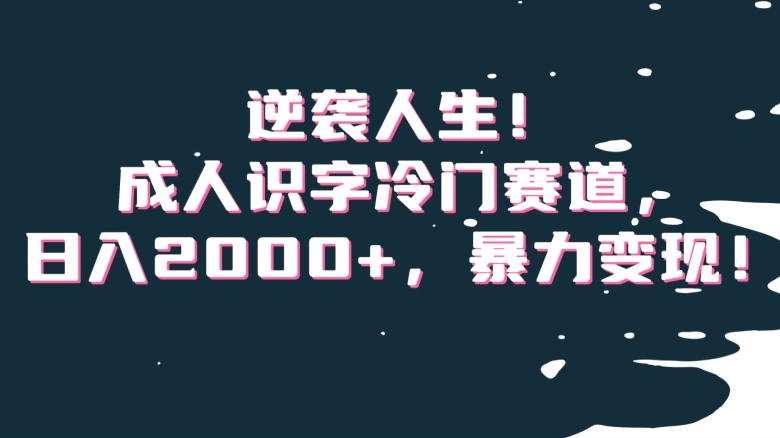 逆袭人生！成人识字冷门赛道，日入2000+，暴力变现！【揭秘】_80楼网创