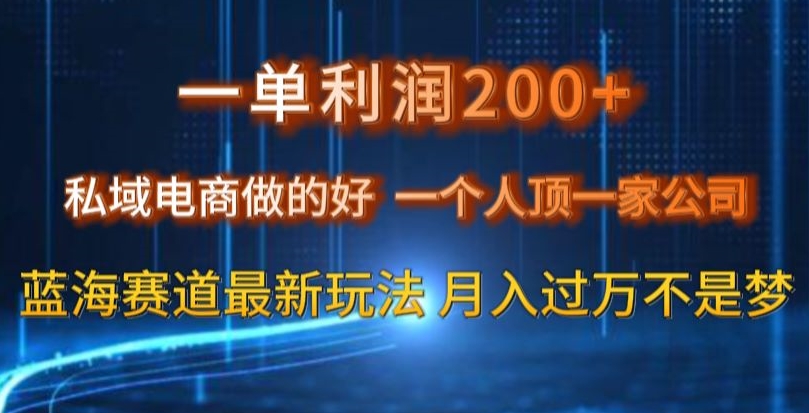 一单利润200私域电商做的好，一个人顶一家公司蓝海赛道最新玩法【揭秘】_80楼网创