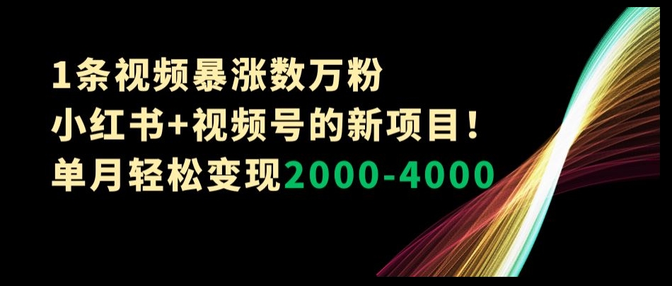 1条视频暴涨数万粉–小红书+视频号的新项目！单月轻松变现2000-4000【揭秘】_80楼网创