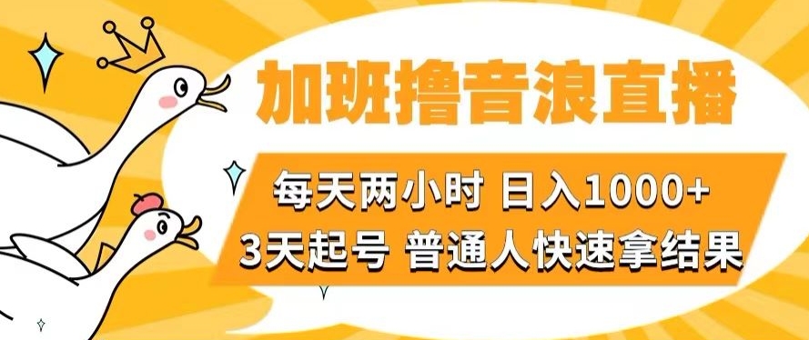 加班撸音浪直播，每天两小时，日入1000+，直播话术才3句，3天起号，普通人快速拿结果【揭秘】_80楼网创
