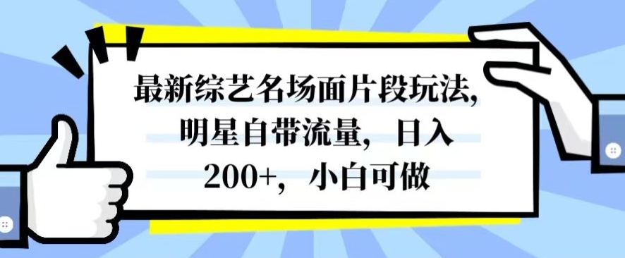 最新综艺名场面片段玩法，明星自带流量，日入200+，小白可做【揭秘】_80楼网创