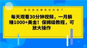 每天观看30分钟视频，一月躺赚1000+美金！保姆级教程，可放大操作【揭秘】_80楼网创