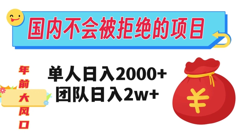 在国内不怕被拒绝的项目，单人日入2000，团队日入20000+【揭秘】_80楼网创
