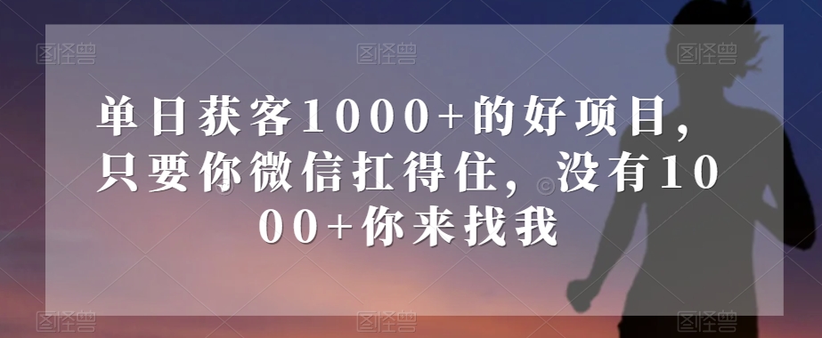单日获客1000+的好项目，只要你微信扛得住，没有1000+你来找我【揭秘】_80楼网创
