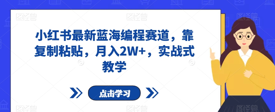 小红书最新蓝海编程赛道，靠复制粘贴，月入2W+，实战式教学【揭秘】_80楼网创