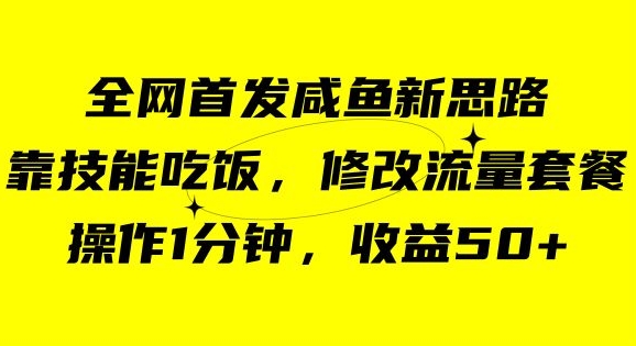 咸鱼冷门新玩法，靠“技能吃饭”，修改流量套餐，操作1分钟，收益50【揭秘】_80楼网创