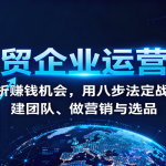 外贸企业运营课：解析赚钱机会，用八步法定战略、建团队、做营销与选品