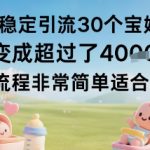 每天稳定引流30个宝妈粉当月变成超过了1W+项目流程非常简单适合小白