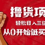 （16315期）手把手教你撸货，从0开始低买高卖，小白轻松实现日入三位数!!!