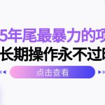 （16316期）2025年尾最暴力的项目可长期操作永不过时